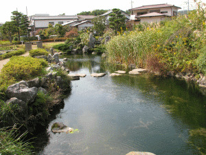 イトヨの里 泉が森公園の写真