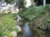 イトヨの里 泉が森公園の写真のサムネイル写真3