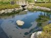 イトヨの里 泉が森公園の写真のサムネイル写真7