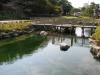 イトヨの里 泉が森公園の写真のサムネイル写真11