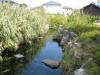 イトヨの里 泉が森公園の写真のサムネイル写真12