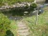 イトヨの里 泉が森公園の写真のサムネイル写真14