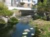 イトヨの里 泉が森公園の写真のサムネイル写真15