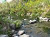 イトヨの里 泉が森公園の写真のサムネイル写真16
