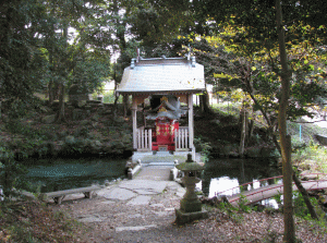 泉神社（泉が森）の写真