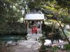 泉神社（泉が森）の写真のサムネイル写真4