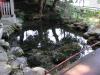 泉神社（泉が森）の写真のサムネイル写真6
