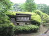 茨城県民の森の写真のサムネイル写真1