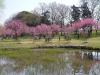 古河総合公園の写真のサムネイル写真22