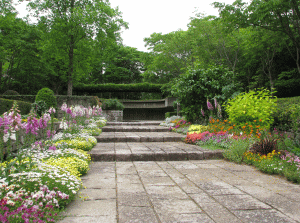 水戸市植物園の写真