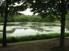 水戸市植物園の写真のサムネイル写真9