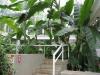 水戸市植物園の写真のサムネイル写真21