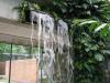 水戸市植物園の写真のサムネイル写真25