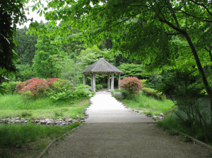 七ツ洞公園の写真