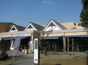 お菓子の広場 亀印本店の写真