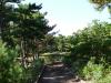 童子女の松原公園の写真のサムネイル写真3