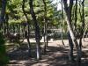 童子女の松原公園の写真のサムネイル写真13