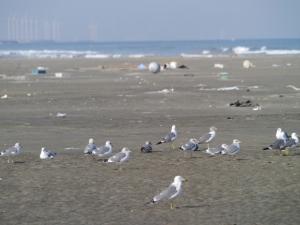 【レポート】冬の波崎海水浴場！の写真13