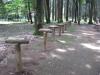龍ヶ崎市森林公園の写真のサムネイル写真3