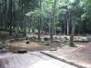 龍ヶ崎市森林公園の写真のサムネイル写真16