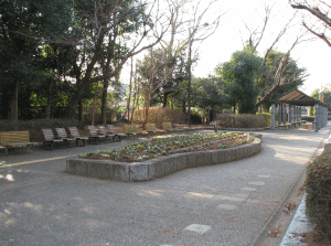 砂沼広域公園の写真