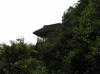 筑波山梅林の写真のサムネイル写真1