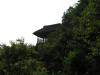 筑波山梅林の写真のサムネイル写真9