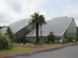 つくば植物園（筑波実験植動園）の写真