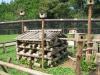 りすとうさぎの小動物公園（牛久大仏）の写真のサムネイル写真11