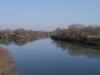 谷中湖（渡良瀬遊水地）の写真のサムネイル写真2