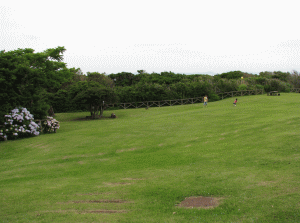 城ヶ島公園の写真