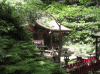 佐助稲荷神社の写真のサムネイル写真1