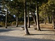 箱根関所の写真のサムネイル写真6