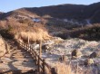 大涌谷湖尻自然探勝歩道の写真のサムネイル写真1