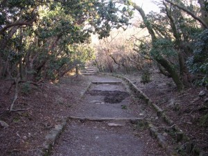 大涌谷湖尻自然探勝歩道の写真2