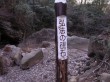 大涌谷湖尻自然探勝歩道の写真のサムネイル写真3