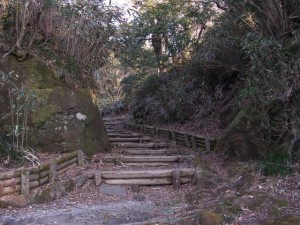 大涌谷湖尻自然探勝歩道の写真5