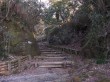 大涌谷湖尻自然探勝歩道の写真のサムネイル写真5