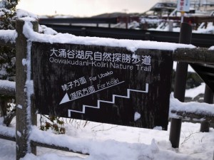 大涌谷湖尻自然探勝歩道の写真7