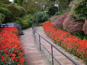 強羅公園の写真