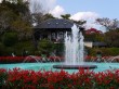 強羅公園の写真のサムネイル写真27