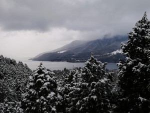 道の駅 箱根峠の写真4