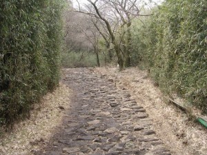 箱根旧街道の写真