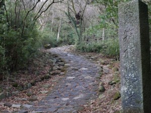 箱根旧街道の写真4