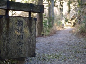 箱根旧街道の写真7