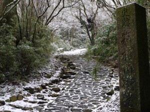 箱根旧街道の写真8