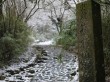 箱根旧街道の写真のサムネイル写真10