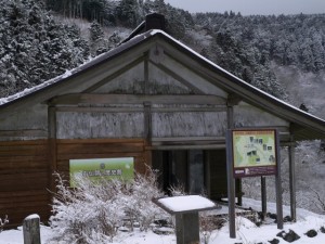 石仏群と歴史館の写真