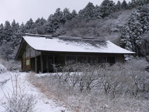 石仏群と歴史館の写真7