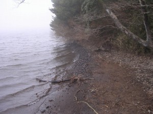 恩賜箱根公園の写真2